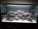 [TodoMarino.com] Nuevo acuario 250L Novato