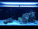 [TodoMarino.com] Ventino's reef
