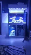 [TodoMarino.com] H2o titanium aop1 - Castellon
