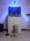 [TodoMarino.com] Vendo acuario tipo cubo - Barcelona