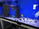 [TodoMarino.com] Vendo Acuario completo por desmonte - badajoz