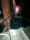 [TodoMarino.com] Nuevo en el foro y ademas novato en marino!! Dudass