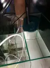 [TodoMarino.com] Nuevo en el foro y ademas novato en marino!! Dudass