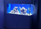 [TodoMarino.com] Pantalla de Led