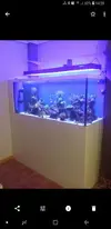 [TodoMarino.com] Pantalla de Led
