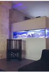 [TodoMarino.com] Vendo acuario 576L- Alcalá de Henares