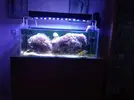 [TodoMarino.com] Desmonte acuario 160l. Vendo por partes- Almendralejo (Badajoz)
