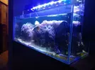 [TodoMarino.com] Desmonte acuario 160l. Vendo por partes- Almendralejo (Badajoz)