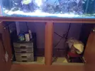 [TodoMarino.com] Desmonte acuario 160l. Vendo por partes- Almendralejo (Badajoz)