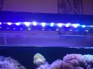 [TodoMarino.com] Desmonte acuario 160l. Vendo por partes- Almendralejo (Badajoz)