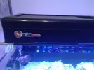 [TodoMarino.com] Desmonte acuario 160l. Vendo por partes- Almendralejo (Badajoz)