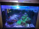 [TodoMarino.com] Venta acuario por desmonte madrid - Madrid