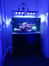 [TodoMarino.com] Acuario 300L.+Mesa+Sump VIGO(PONT) -300€