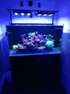 [TodoMarino.com] Acuario 300L.+Mesa+Sump VIGO(PONT) -300€