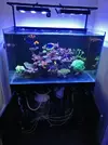 [TodoMarino.com] Acuario 300L.+Mesa+Sump VIGO(PONT) -300€