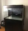 [TodoMarino.com] Vendo Acuario marino Red Sea Max 250 litros RSM250 - Huesca