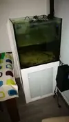 [TodoMarino.com] Acuario 200 litros más mesa - Hospitalet de llobregat