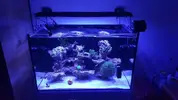 [TodoMarino.com] Venta acuario - Barcelona