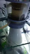 [TodoMarino.com] Venta acuario - Barcelona