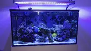 [TodoMarino.com] Vendo acuario por desmonte - Barcelona