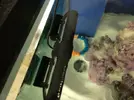 [TodoMarino.com] Vendo pareja de bombas gyre xf - Torrevieja