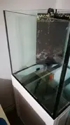 [TodoMarino.com] Acuario 200 litros más mesa - Hospitalet de llobregat
