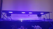 [TodoMarino.com] Venta pantalla masxpect rsx 200w - Barcelona