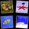 [TodoMarino.com] ANIMALES NUEVOS!