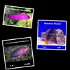 [TodoMarino.com] ANIMALES NUEVOS!