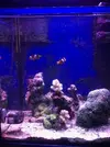 [TodoMarino.com] Acuario Completo - Manzanares el Real  (Madrid)
