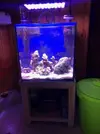 [TodoMarino.com] Acuario Completo - Manzanares el Real  (Madrid)