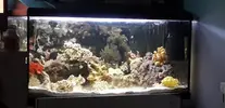 [TodoMarino.com] Ayuda marino