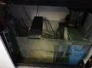 [TodoMarino.com] Vendo desmonto acuario marino - Alcobendas