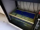 [TodoMarino.com] Vendo desmonto acuario marino - Alcobendas