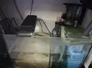 [TodoMarino.com] Vendo desmonto acuario marino - Alcobendas