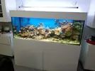 [TodoMarino.com] Vendo desmonto acuario marino - Alcobendas