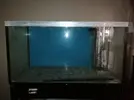 [TodoMarino.com] Regalo Acurario Marino 300L + Sump