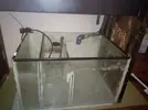 [TodoMarino.com] Regalo Acurario Marino 300L + Sump