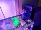 [TodoMarino.com] Vendo acuario 100 litros completo(Castellon) - Castellon