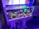 [TodoMarino.com] Vendo acuario 100 litros completo(Castellon) - Castellon