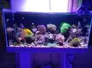 [TodoMarino.com] Vendo acuario 100 litros completo(Castellon) - Castellon