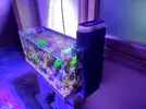 [TodoMarino.com] Vendo acuario 100 litros completo(Castellon) - Castellon