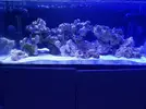 [TodoMarino.com] Mi primer marino