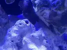 [TodoMarino.com] Mi primer marino