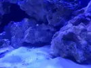 [TodoMarino.com] Mi primer marino