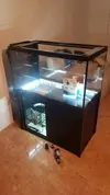 [TodoMarino.com] Pisito Reef. Poco a poco, ahora sí