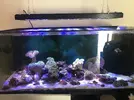 [TodoMarino.com] VENTA Acuario + luz - Oviedo