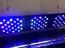 [TodoMarino.com] VENTA Acuario + luz - Oviedo
