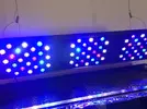 [TodoMarino.com] VENTA Acuario + luz - Oviedo