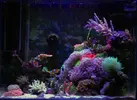 [TodoMarino.com] Mi nuevo nano de 80l
